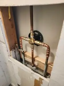 Moen Shower Valve Repair in Blackwood
